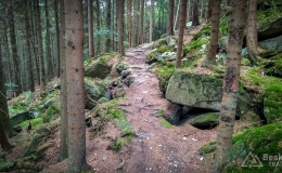 IMG_20180815_141521_HDR