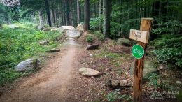 IMG_20180815_150041_HDR