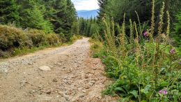 IMG_20180816_140447_HDR