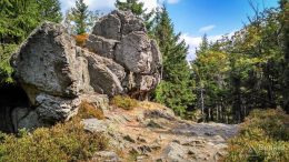 IMG_20180816_142035_HDR