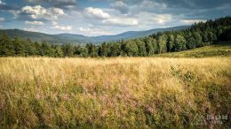 IMG_20180817_162854_HDR