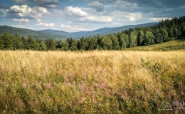 IMG_20180817_162854_HDR