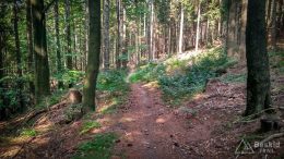 IMG_20180818_141141_HDR