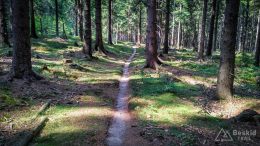 IMG_20180818_141829_HDR