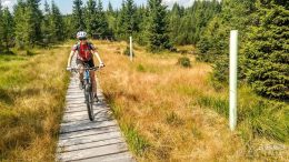 IMG_20180819_131958_HDR