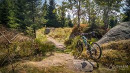 IMG_20180819_133231_HDR