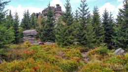 IMG_20180819_134000_HDR