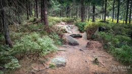 IMG_20180819_134915_HDR