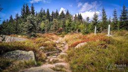 IMG_20180819_135510_HDR