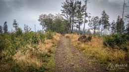IMG_20180906_104239_HDR