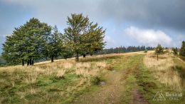 IMG_20180906_104600_HDR