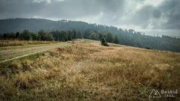 IMG_20180906_104758_HDR