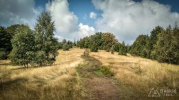 IMG_20180906_112759_HDR