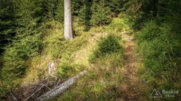 IMG_20180906_153340_HDR
