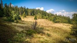 IMG_20180906_160352_HDR