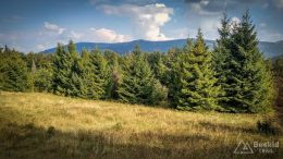 IMG_20180906_160356_HDR