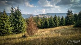 IMG_20180906_160400_HDR