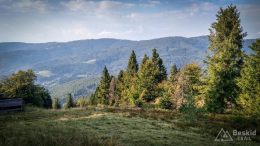 IMG_20180906_164844_HDR