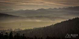_DSC7748