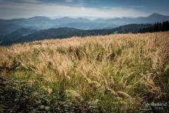 _DSC7773