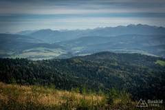 _DSC7777