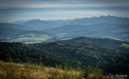 _DSC7777