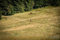 _DSC7785
