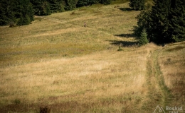 _DSC7786