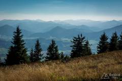 _DSC7800