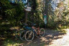 _DSC7804