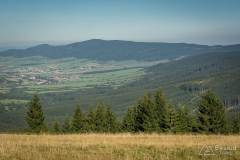 _DSC7823