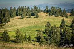 _DSC7840