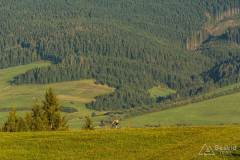 _DSC7846