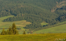 _DSC7846