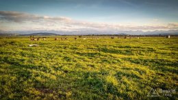 IMG_20180916_181434_HDR