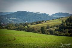 _DSC7910
