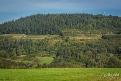 _DSC7911