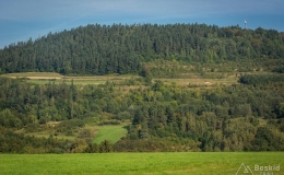 _DSC7911