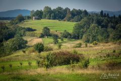 _DSC7912