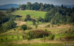 _DSC7912