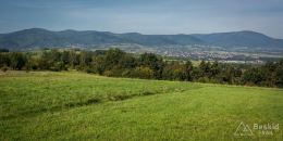 _DSC7913