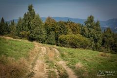 _DSC7919