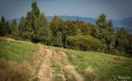 _DSC7919