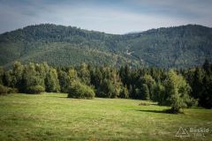 _DSC7920