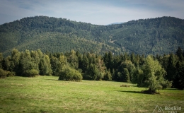 _DSC7920
