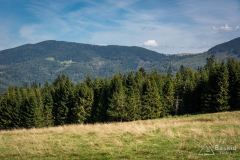_DSC7926