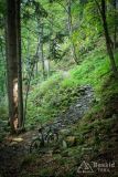 _DSC7936