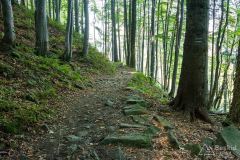 _DSC7940