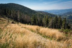 _DSC7943