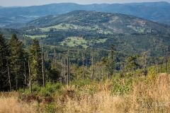 _DSC7944
